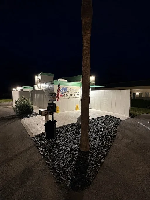 Margate Animal Hospital image 6